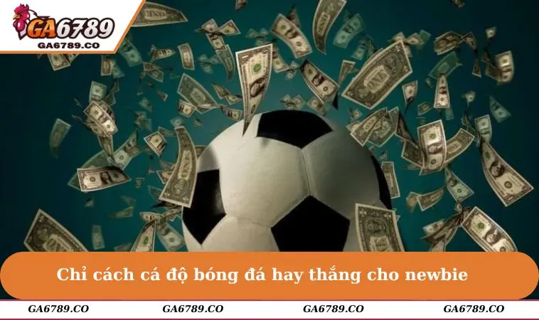 Chỉ cách cá độ bóng đá hay thắng cho newbie