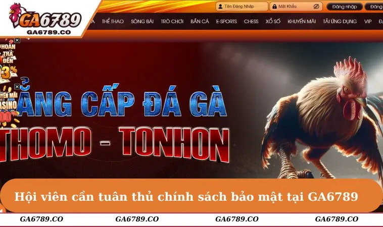 Hội viên cần tuân thủ chính sách bảo mật tại GA6789