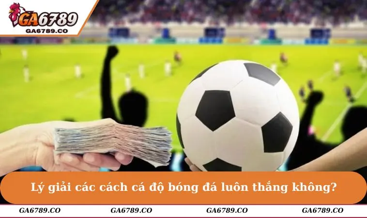 Lý giải các cách cá độ bóng đá luôn thắng không?