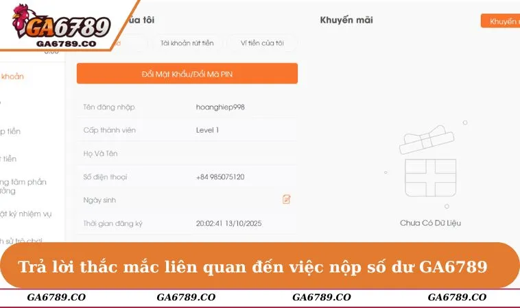 Trả lời thắc mắc liên quan đến việc nộp số dư GA6789